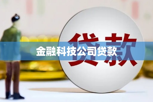 龙泉驿金融科技公司贷款