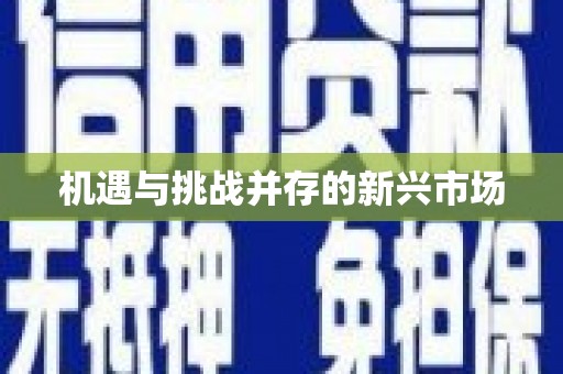龙泉驿机遇与挑战并存的新兴市场