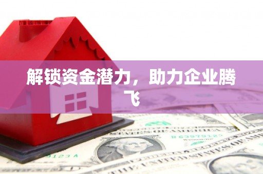 龙泉驿解锁资金潜力，助力企业腾飞