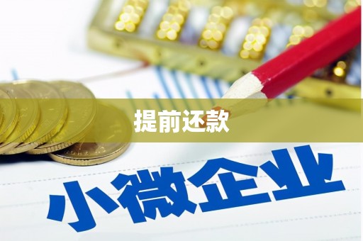 龙泉驿提前还款