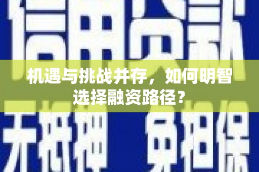 龙泉驿机遇与挑战并存，如何明智选择融资路径？