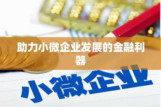龙泉驿助力小微企业发展的金融利器