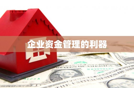 龙泉驿企业资金管理的利器