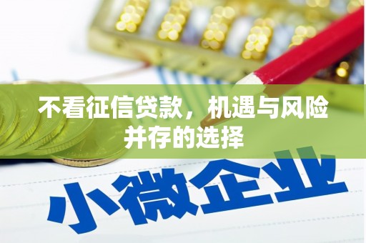 龙泉驿不看征信贷款，机遇与风险并存的选择