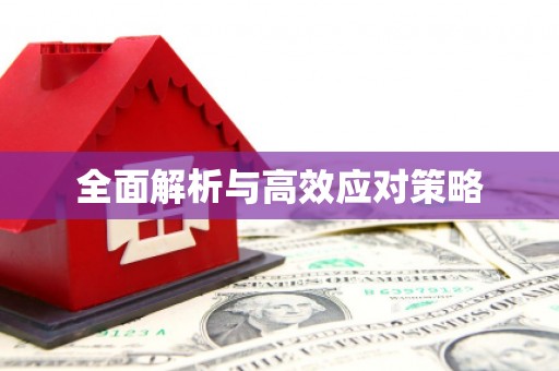 龙泉驿全面解析与高效应对策略