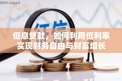 龙泉驿低息贷款，如何利用低利率实现财务自由与财富增长