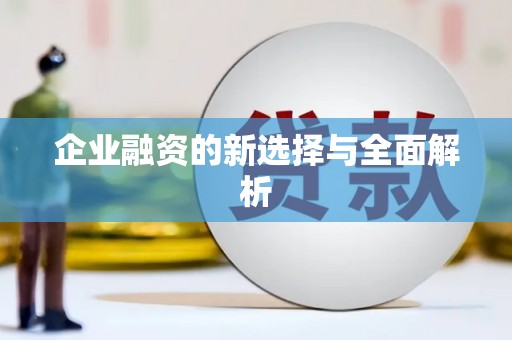 龙泉驿企业融资的新选择与全面解析