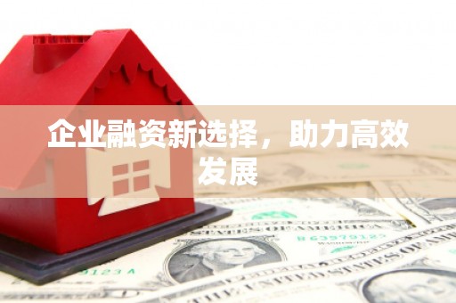 龙泉驿企业融资新选择，助力高效发展