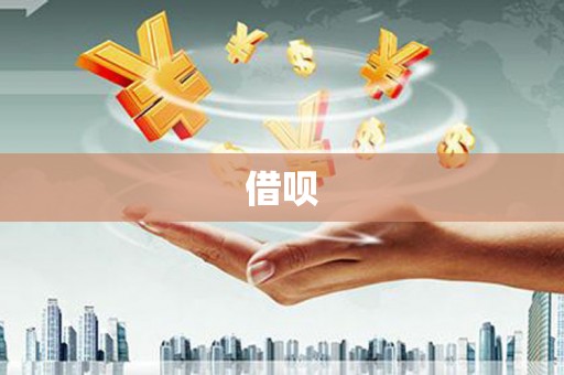 龙泉驿借呗