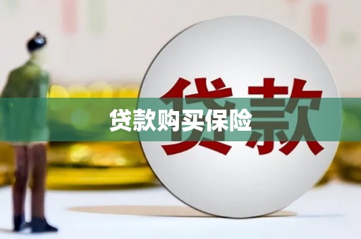 龙泉驿贷款购买保险