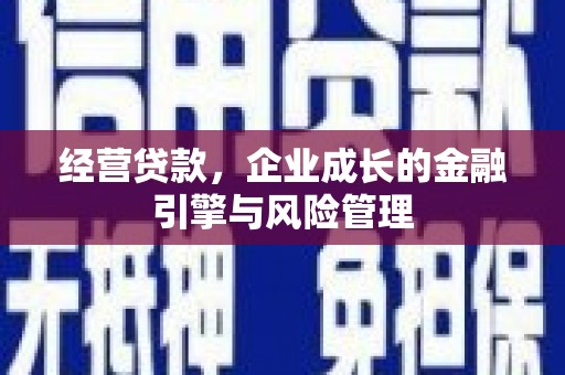 龙泉驿经营贷款，企业成长的金融引擎与风险管理