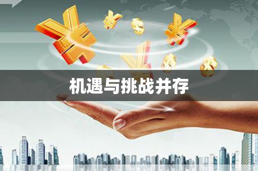 龙泉驿机遇与挑战并存