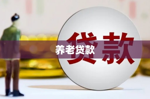 龙泉驿养老贷款